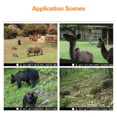 4K WiFi Live Stream Trail Camera