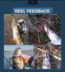 Larva Soft Fishing Lures