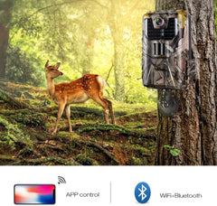 4K WiFi Live Stream Trail Camera