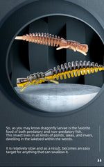 Larva Soft Fishing Lures