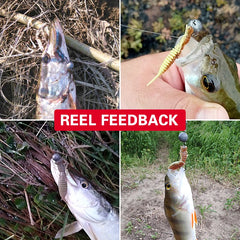 Larva Soft Fishing Lures