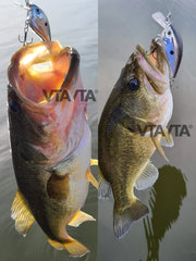 Floating Crankbait Fishing Lures