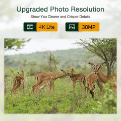 4K WiFi Live Stream Trail Camera