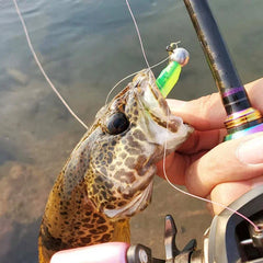 10-Pcs T-Tail Soft Fishing Baits