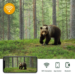 4K WiFi Live Stream Trail Camera