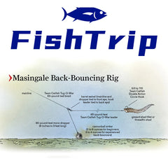 FishTrip Ball Bearing Fishing Swivels