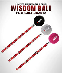 Inflatable Golf Smart Ball Trainer