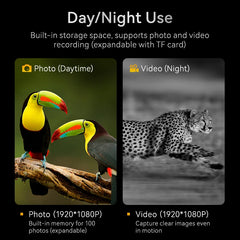 1080P Digital Night Vision Binoculars