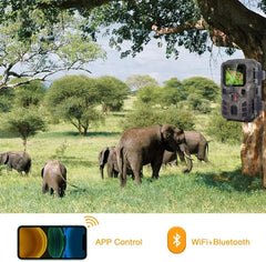 WiFi APP Control Trail Camera