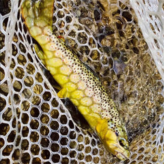 Bead Head Nymph Fishing Lures