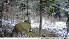 50MP 4K Wireless Trail Camera
