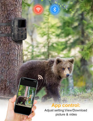 WiFi APP Control Trail Camera