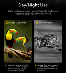 1080P Digital Night Vision Binoculars